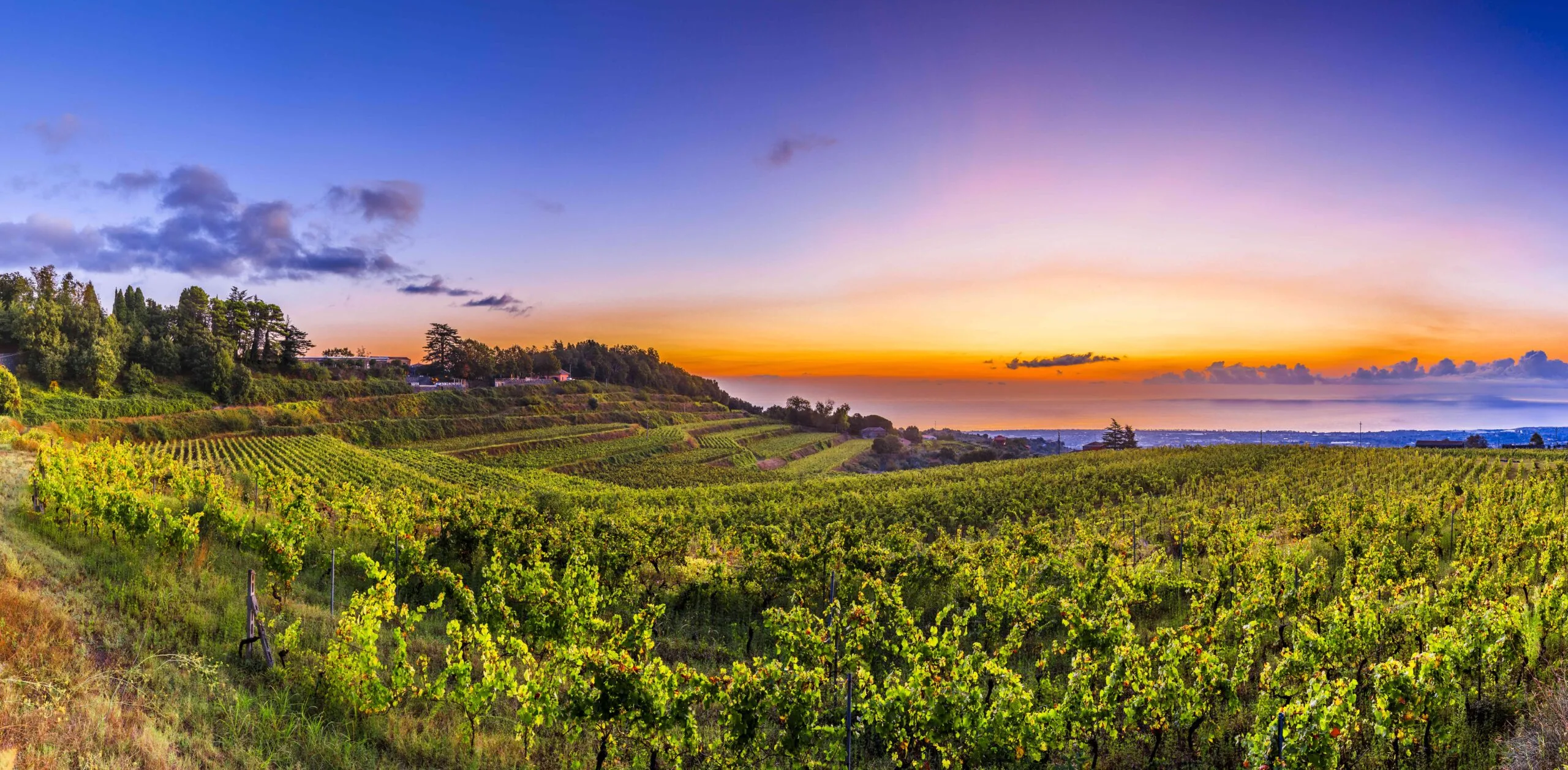 Barone di Villagrande winery